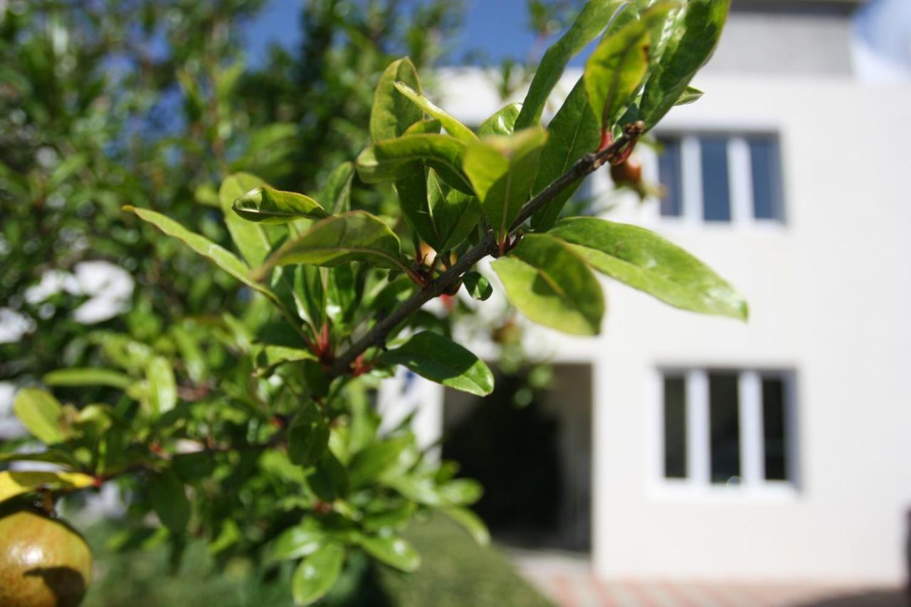 Apartman Mare Makarska Exterior foto